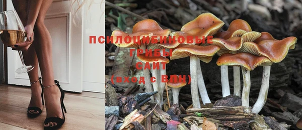 хмурый Абдулино