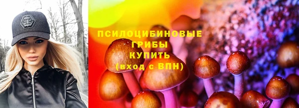 молекула духа Саяногорск